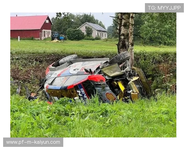 WRC芬兰站：高速激战震撼人心，芬兰cp