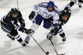 足球赛事纪录片热播，传递体育热血与奋斗精神，足球纪录片排行榜